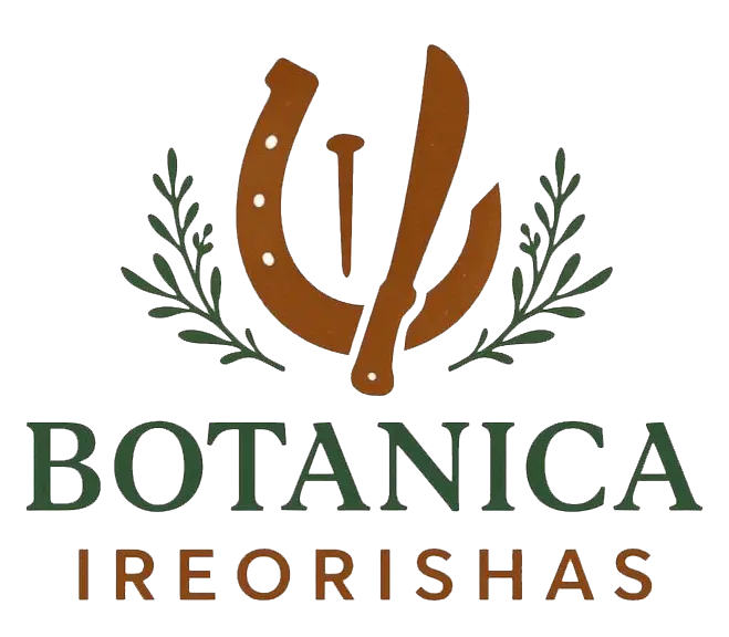 logo copia